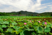 우리동네자랑-상주(하)- 북상주