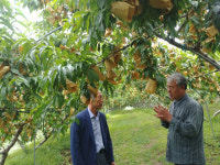농촌사랑 넘치는 부부, 즐거움 담아 키운 복숭아 핑크빛 건강함이 ‘톡톡’
