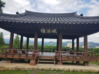 (창간특집)500년 세월을 찾아 떠나는 대구 10영(상)금호강