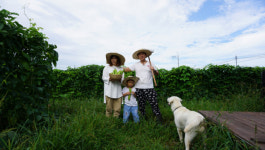 귀중한 걸 다시 찾게 해준 귀농 철저한 사전 준비로 어려움도 극복