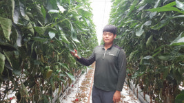 ‘미래형 첨단농법’ 자부심으로 20대 부농의 꿈 한발짝