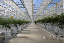 경북도-상주 스마트팜 혁신밸리 첫 교육생 52명 확정