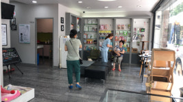대구 반려동물 자진 신고 폭주…동물 병원 때 아닌 특수
