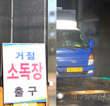 경북도, 아프리카돼지열병 차단위해 양돈농가 일시이동중지명령