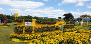 역사도시 경주에서 황금정원 나들이 어때요?