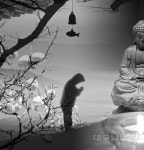 대구일보 2019 경북문화체험 전국수필대전 금상 - ‘불목(佛木)’