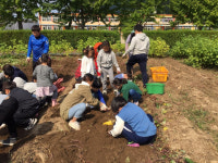 텃밭에서 자라는 인성..작지만 강한 가산초등학교 텃밭 가꾸기