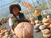 경북애 그린키농원…여기가 바로 호박체험 맛집 호박, 어디까지 즐겨봤니?