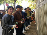 달서구청, 평화타운 동편 벽면녹화사업 추진