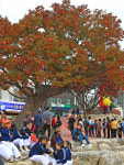 ‘청송사과축제’ 가을 축제의 진수를 선보이다.