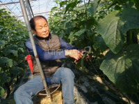 강소농 현장을 가다 (55) 칠곡 보람농장