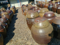 강소농 현장을 가다 (56) 예천 회룡포장수진품