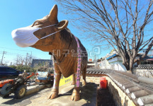 소 조형물도 마스크 쓰고 “코로나 썩 물러가라”