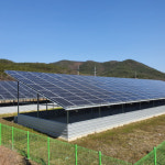 구미시 버섯재배사 등 위장한 태양광발전시설 규제