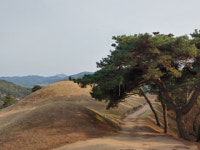 삼국유사 기행 (58) 가락국가 (하) 대가야