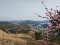 삼국유사 기행 (58) 가락국가 (하) 대가야