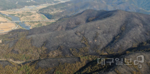 안동 대형산불 사흘만에 잡았다…축구장 1120개 넓이 잿더미