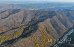 안동산불, 남후면 주민 “순식간에 바람이 골바람 타고 불씨까지 날아다녀”