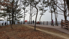 영천시 그린환경센터 시민에게 다가서다