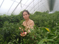 강소농 현장을 가다 (61) 경산 아시아농장