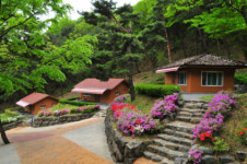 칠곡군, 송정자연휴양림 운영 재개