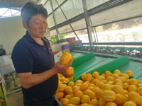 강소농 현장을 가다 (64) 고령 사랑뜰농원