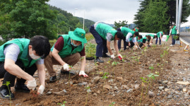 대구 직장공장새마을운동 서구협의회, 봉사활동 펼쳐