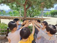 인평초등유치원 오감 느끼는 작은 숲 놀이 인기