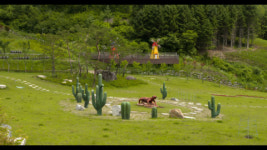 치유의 여행지 김천으로 오세요