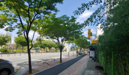 민선7기 하반기, 우리 동네 핵심사업(5)-북구 옥산로 테마거리 조성 사업