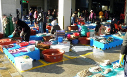 포항 죽도어시장 지하서 포항수협 직원 숨진 채 발견