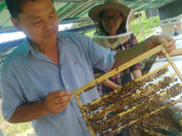 강소농 현장을 가다 (68) 상주 이레농장 꿀단지
