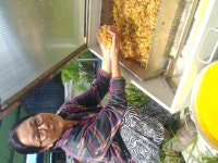 강소농 현장을 가다 (68) 상주 이레농장 꿀단지