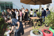 대구 중구 대봉1동 행정복지센터, 상상의 숲 힐링 복합공간으로 재탄생