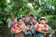 뚜벅뚜벅 대구·경북 한 바퀴 (2) 한 여름 밤의 청도