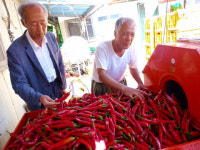 강소농 현장을 가다 (69) 영양 감천이네 동천농장