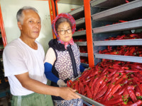 강소농 현장을 가다 (69) 영양 감천이네 동천농장