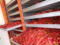 강소농 현장을 가다 (69) 영양 감천이네 동천농장