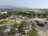 경산시 미세먼지 줄이기 주요 관문 소나무 식재 큰 호응