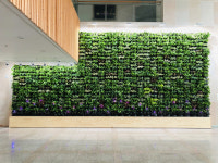 대구 달서구 웃는얼굴아트센터 실내, 녹색 숲으로 변신