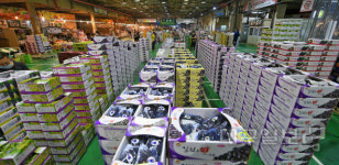 민족 대명절 추석 대목 앞둔 청과 도매시장.