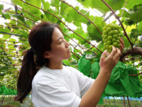 강소농 현장을 가다(71) 영천 연지포도농장