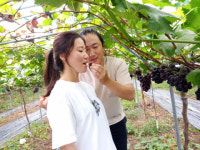 강소농 현장을 가다(71) 영천 연지포도농장
