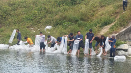 봉화 운곡천 어족자원 육성...붕어 등 민물고기 방류