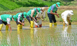 영남대 박정희새마을대학원 유학생들의 생애 첫 모내기...