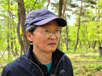 국내 첫 청송의 대규모 산림텃밭, 산채 주말농장으로 인기