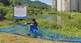 대규모 두꺼비 서식지 달서구 중방지...로드킬 방지 안전 그물망 설치