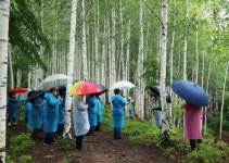 외신 기자들 “원더플 경북”…영양 자작나무숲·안동 군자마을 등1박2일 경북 관광