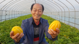 우리동네 명품일꾼성주 참외 농사 선구자 ‘이명화’ 명인
