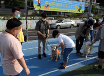 포항에서 전국 최초 장애 학생의 반려견 교감치유 프로그램 운영